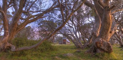 Wallace Hut - VIC T (PBH4 00 13108)